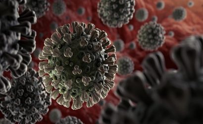 DSÖ'den Mutasyonlu Virüs Açıklaması